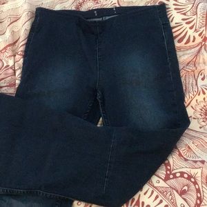 Free People Penny Pull on Flare Jeans 29